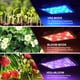 thumbnail image 2 of Luz LED de cultivo Beelux de 1000 W de espectro completo para plantas de interior, 2 of 6