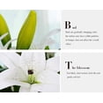 thumbnail image 5 of Artificial Flowers, 5pcs Artificial Full Bloom Artificial Latex Real Touch Flowers for Home Decor, Wedding, Parties, Offices, 5 of 10