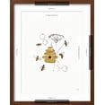 thumbnail image 5 of Art.com Bees and Botanicals II Art Print by Leah York, Brown Frame Wall Art, 17" x 21", 5 of 5