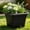 A, variant on Square Plastic Planter Pot with Breathable Root Control, Thickened Indoor Outdoor Gardening Container, 19cm x 28cm for Flower and Vegetable