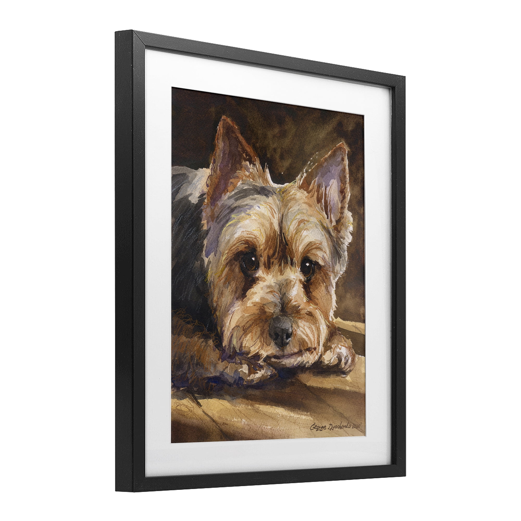Stupell Industries Yorkshire Terrier Portrait Black Framed Print Under Glass, design by George Dyachenko