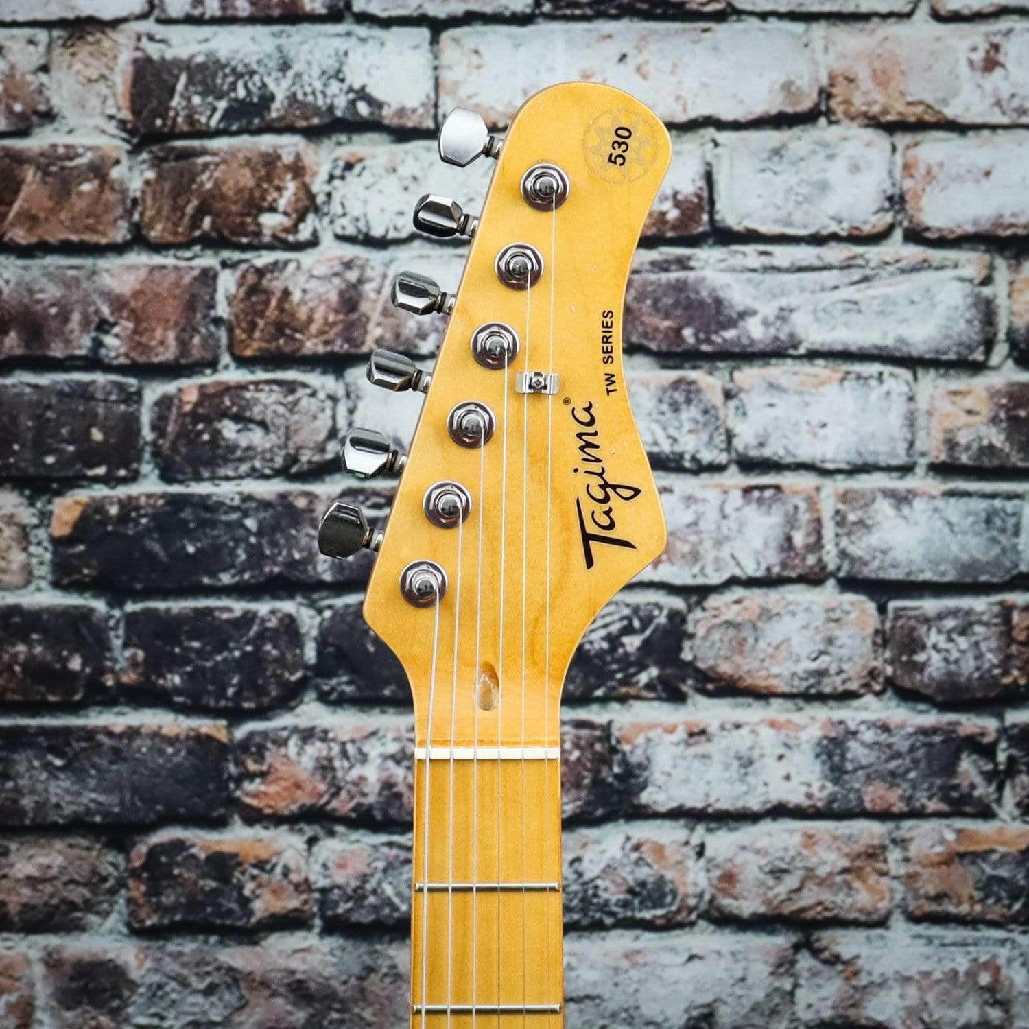 Tagima TG-530 Electric Guitar | Seafoam Green