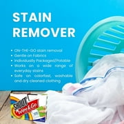 Shout Wipe and Go Instant Stain Remover 12 Count, 2 Pack