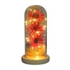 Romantic Simulation Sunflower Flower Glass Cover LED Micro Landscape Gift room decor home decor