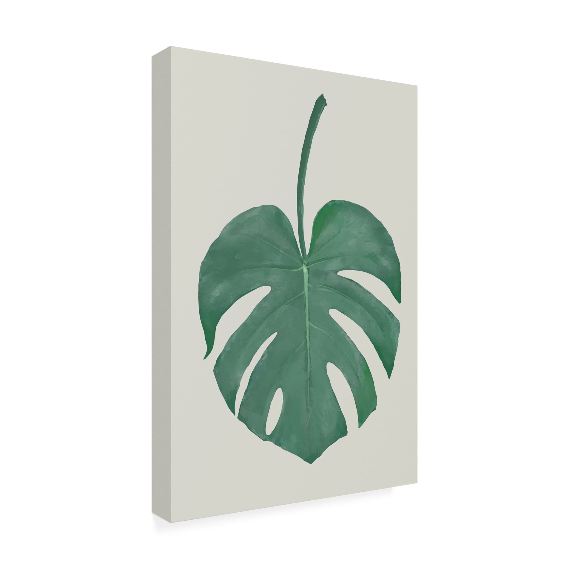 Canvas Wall Art - Pictufy Studio Ii 'Monstera Aqua 05' Wall Art for Living Room, Bedroom, or Office Décor by Trademark Fine Art - 16 x 24 Inches