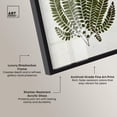 thumbnail image 3 of Time's Imprint III Shadowbox Print Botanical Wall Decor by Art Remedy, Black Frame, 20 x 30, 3 of 5