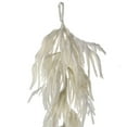 thumbnail image 3 of Regency International 48" Real Touch Flocked White Norfolk Pine Garland, 3 of 3