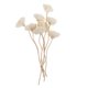 thumbnail image 2 of 8PCS Aromatherapy Rattan Sticks Accesorios Aromaterapia Flor Rattans, 2 of 5
