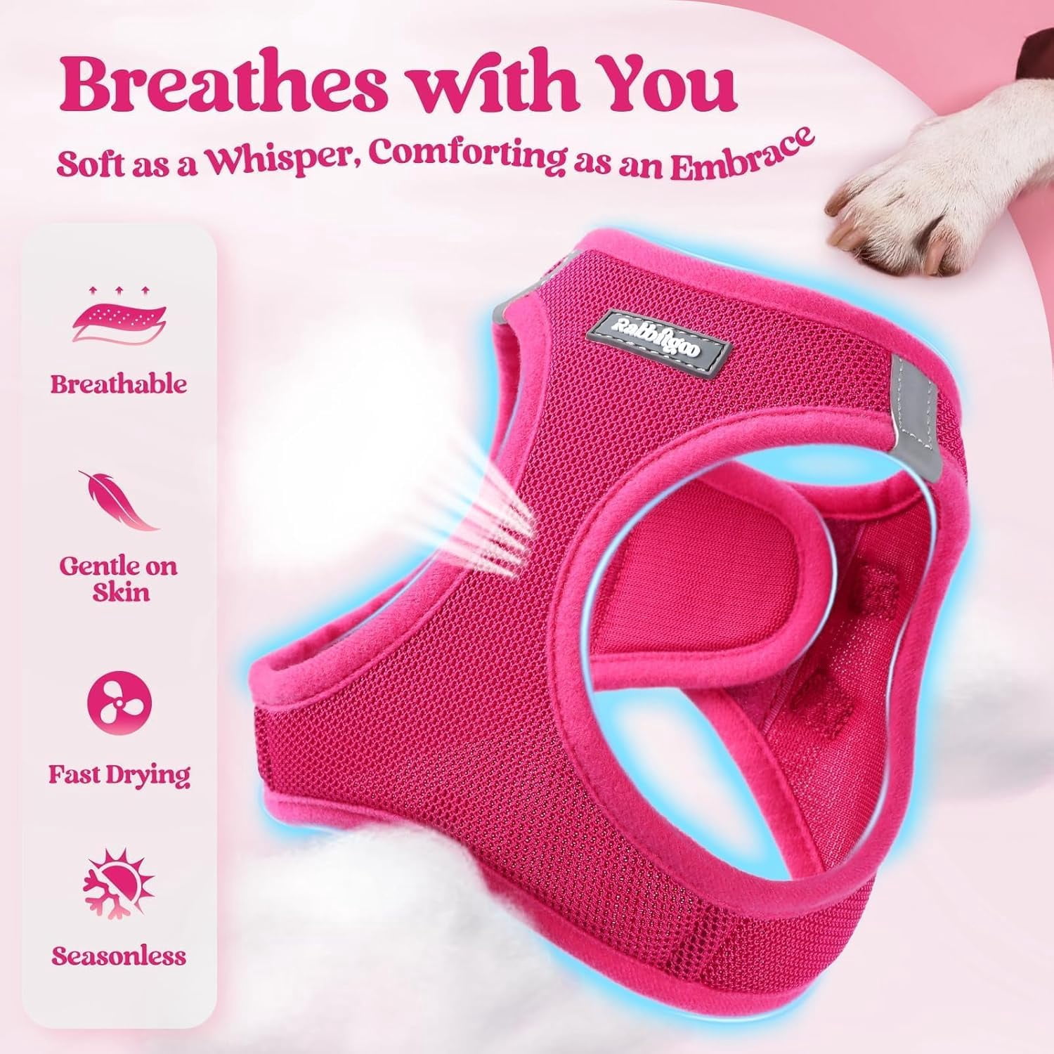 Dog Harness Small Sized and Leash Set, Step in Soft Light Puppy Vest, Breathable Mesh Pet Harness, Reflective for Safe Easy Walking, Rose Red S
