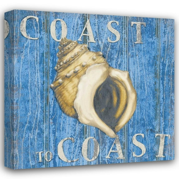 Paul Brent 15x15 Gallery Wrapped Canvas Wall Art Titled - Coastal USA Conch