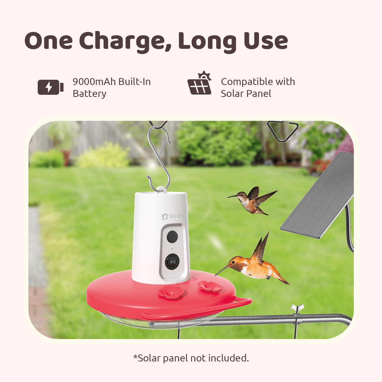 Birdfy Humming Bird Feeder with Camera, 1080P FHD Hummingbird Feeder Camera with Ant Moat, AI Identify Bird Species, Ideal Gift