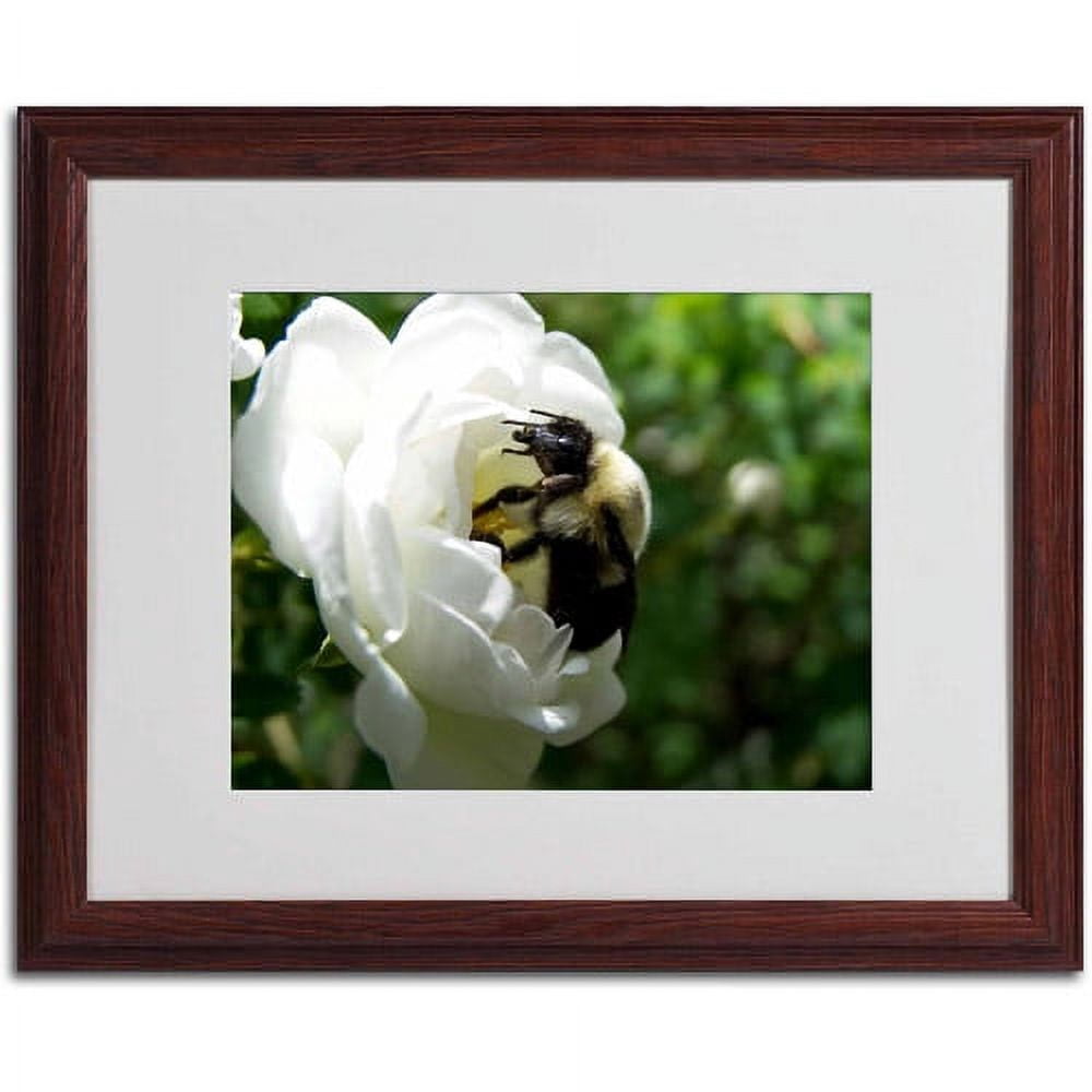 Trademark Fine Art "Passionate Desire" Canvas Art by Monica Fleet, White Matte, Wood Frame
