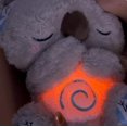 thumbnail image 5 of Evora Soothing Koala Bear, The Relief Koala Breathing Koala Sleep Buddy, Acurrucarse Koala Calmante Ansiedad, Dormir Koala Plush Breathing, Baby Sound Plu, 5 of 5