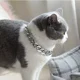 thumbnail image 2 of Nuevo Cadena De Plástico For Cuello For Perros Y Gatos,, 2 of 7