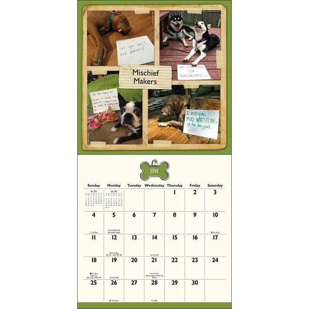 Dog Shaming 2023 Wall Calendar (Other) - Walmart.com dog-shaming-2023-wall-calendar-other-walmart-com