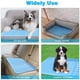 thumbnail image 3 of Almohadilla refrescante para perros Almohadilla refrescante para gatos Almohadilla refrescante de gel Alfombrilla refrescante para gatos y perros Xemadio LRWJ811-10, 3 of 6