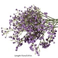 thumbnail image 4 of Lekihaqq Hair Clips Plastic Artificial Flowers Baby'S Breath Hair Accessories For Wedding Photography White Blue Purple Pink Yellow Decorative, 4 of 7