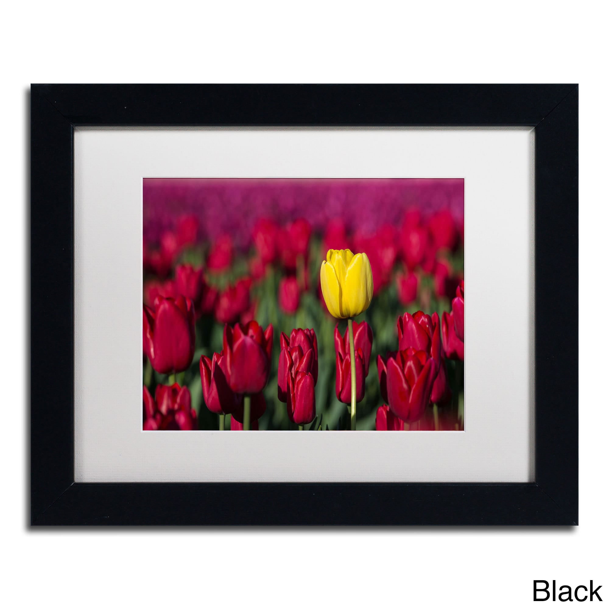 Trademark Fine Art "Yellow Tulip" Canvas Art by Pierre Leclerc, White Matte/Wood Frame