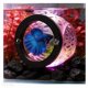 thumbnail image 1 of Cueva flotante Betta Hideout UNISOLODECHO Rainbow Pink, 1 of 6