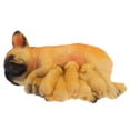 thumbnail image 4 of Figura realista de cachorro de bulldog francés de resina, estatua de perro realista, adorno coleccionable para decoración de jardín, interior y exterior, 4 of 8