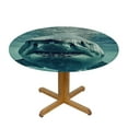 thumbnail image 3 of BANET Fitted Round Tablecloth ,White Shark Animal Table Cover,Elastic Edged Table Cloth Fits Round Tables 42"-46, 3 of 8