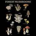 thumbnail image 2 of Men's Lost Gods Forest Mushrooms  Sweatshirt, 2 of 4