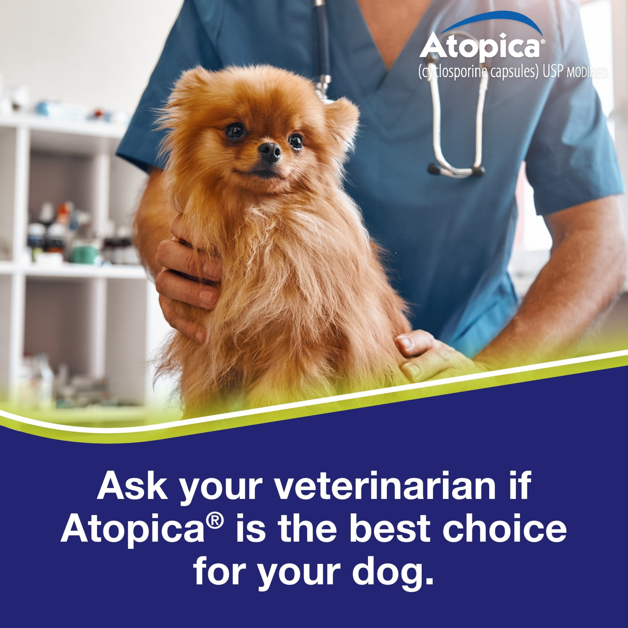 Atopica Dog Atopica | Dermatitis Treatment | Itch Relief for Dogs | Oral Capsules | 10 mg