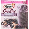 Yoplait Blueberry Pomgrnte Smoothie Kit