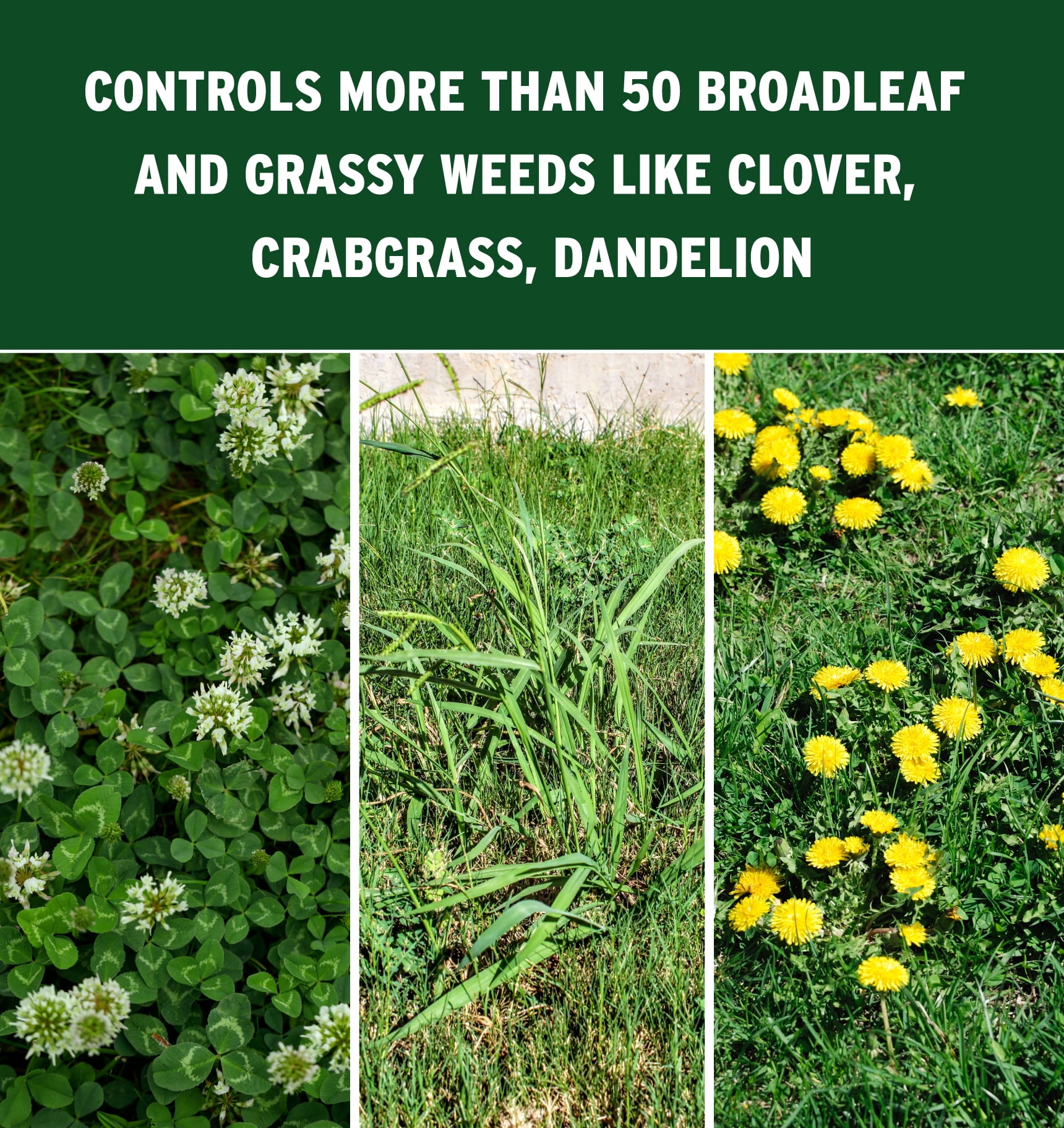 The Andersons Meso 4 SC Mesotrione Pre-Emergent and Post-Emergent Weed Control 8 fl. oz.