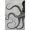 thumbnail image 6 of nuLOOM Adrienne Octopus Area Rug, 5' x 8', Adrienne Grey, 6 of 10