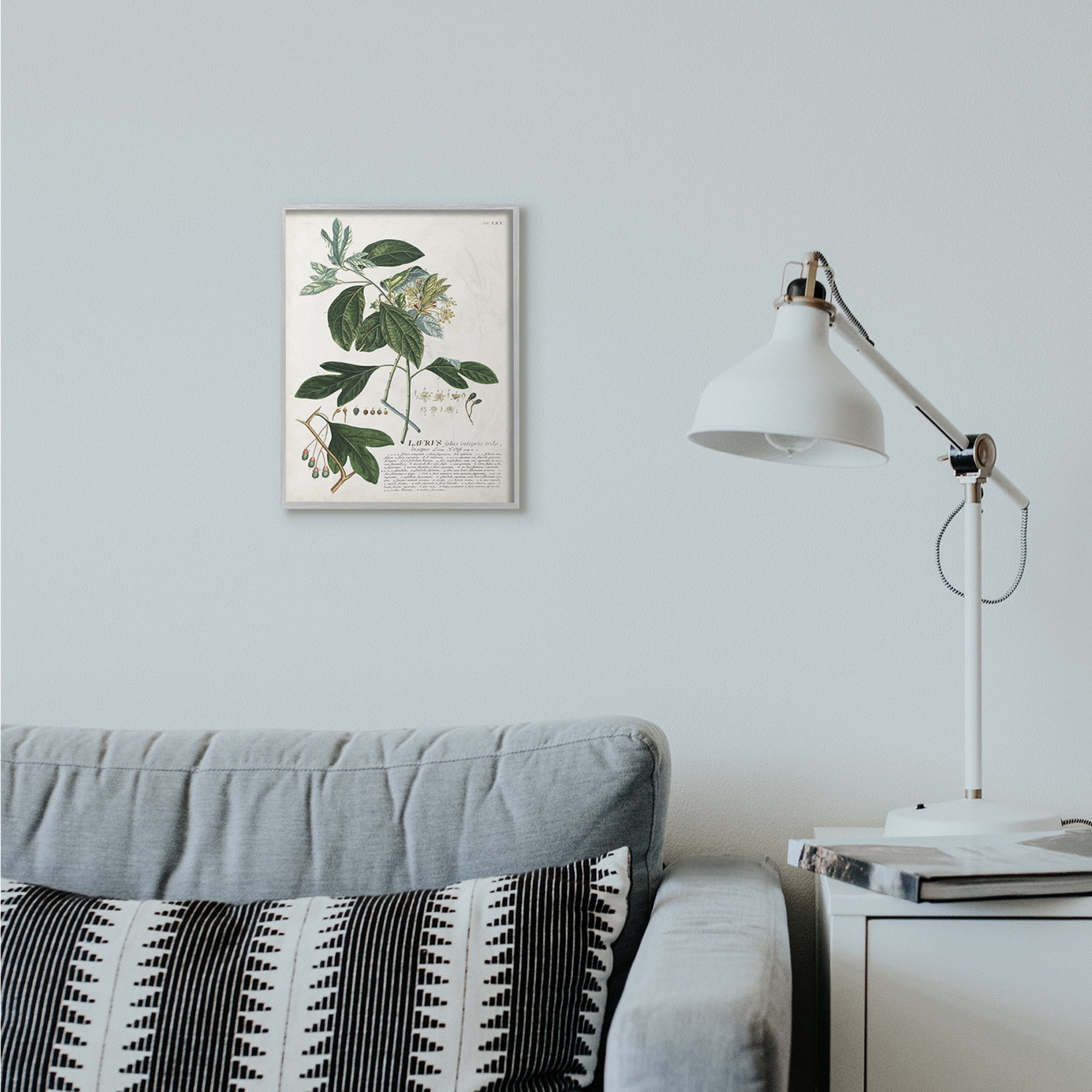 Stupell Home Décor Industries Botanical Plant Illustration Green Leaves Vintage Design Framed Wall Art by Unknown