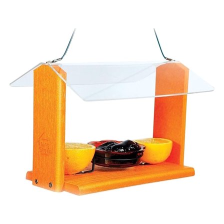 Oriole and Bluebird Feeder - Going Gren Style, Dual-Purpose Bird Feeder with Mealworm/Nugget Cups - Attracts Oriole, Bluebirds, and More
