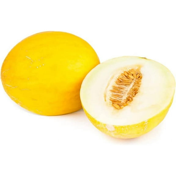 CZ Grain 30 Yellow Canario Melon Plant Seed, Easy to Grow