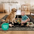 thumbnail image 4 of ODIKA 5'x7' Ultra-Soft Area Rug, Guitar Vintage Acoustic Note Scroll Border Instrument Notes Music Flowing None Washable, Bare feet friendly, Silk-Touch for Bedroom Home office, 4 of 7
