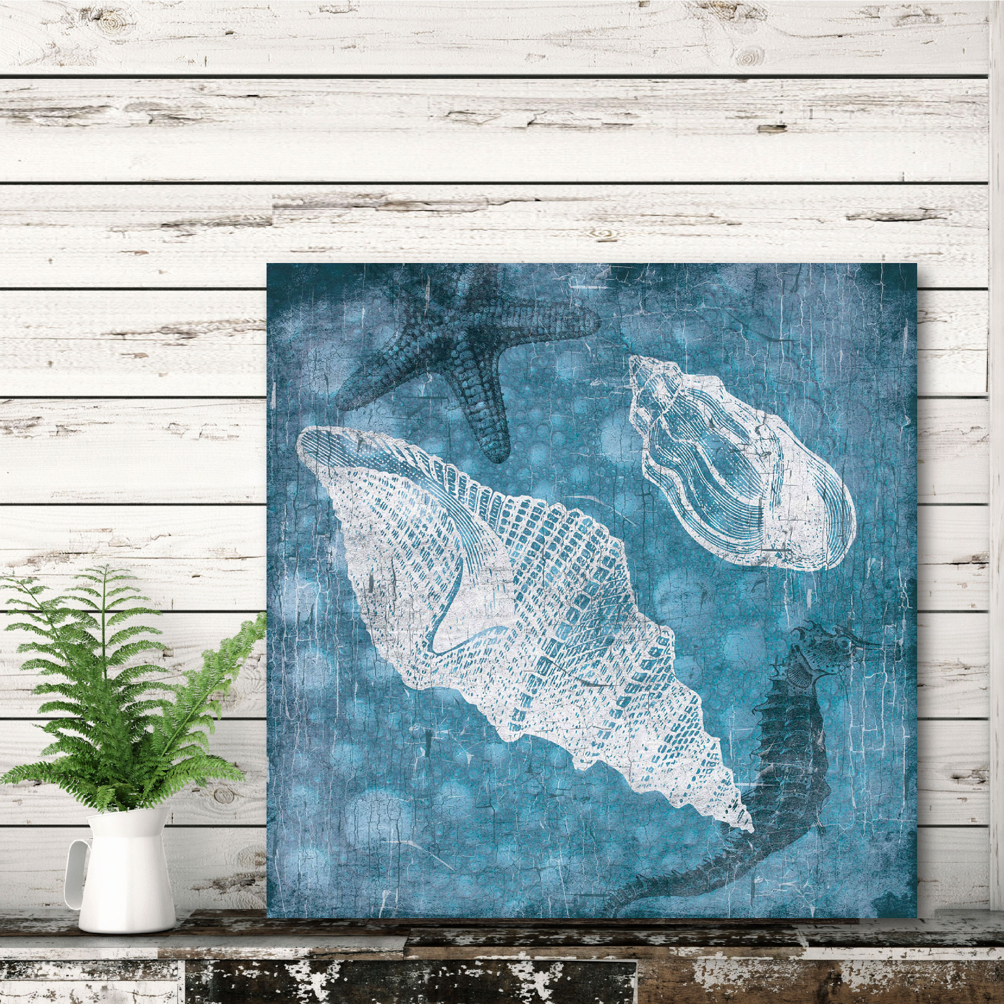 Blue Shells II Gallery-Wrapped Canvas Wall Art, 16x16