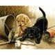 thumbnail image 1 of Drill Diamond Painting (DE4498) Conjuntos de mosaico de punto de cruz de perro bordado completo (A221) 30x40cm Hugtrwg Para estrenar, 1 of 1