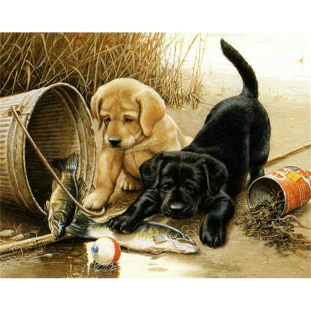 Drill Diamond Painting (DE4498) Conjuntos de mosaico de punto de cruz de perro bordado completo (A221) 30x40cm Hugtrwg Para estrenar