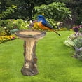 thumbnail image 3 of Comederos Para Pájaros, Cuenco Para Ba?o De Pájaros, Decoración De Patio Para Jardín, Decoración Resistente Para Exteriores Sunnimix Comederos para pájaros, 3 of 8