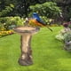 thumbnail image 3 of Bandeja de resina para baño de pájaros, escultura para jardín, césped, Patio, paisaje, bricolaje, multifuncional, ligera, decoración para exteriores, Gloria Comederos para pájaros, 3 of 8