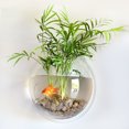 thumbnail image 4 of Décoration pour la Maison, Montage Mural, Aquariums, Bol pour Poissons Rouges, Acrylique Suspendu, Pot de Fleurs, Vase à Fleurs, 4 of 8
