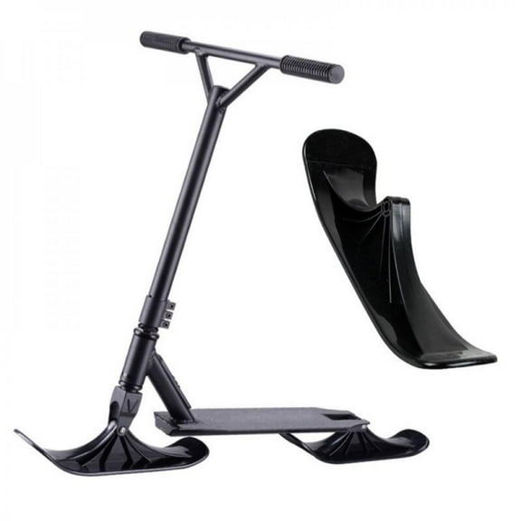 Jelly-fish, Star-fish, and sea Urchins; Being a Research on Primitive Nervous Systems (Paperback)