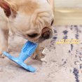 thumbnail image 2 of Juguetes para masticar con cepillo de dientes para perros de cuidado dental: cepillo de dientes para cachorros de raza pequeña y mediana (color azul), 2 of 5