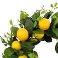 thumbnail image 5 of Northlight Lemons and Assorted Foliage Spring Wreath - 20" - Yellow, 5 of 8