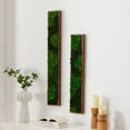 thumbnail image 3 of Rectangular Mixed Moss Wall Art Small, 3 of 3