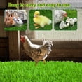 thumbnail image 4 of CBFFDC Tapis Réaliste pour Poulet 4 Pcs Tapis de Nidification Légers Réutilisables Confortables Durables Protection des Ufs pour Ferme, 4 of 5