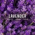 thumbnail image 3 of Perfume Panier des Sens Eau de Toilette 50 mL para Mujer, 3 of 6