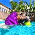 thumbnail image 6 of Harikaji Large Dog Bath Cap,Waterproof Large Dog Ear Protection Bathing Hat,Dog Ear Covers for Bathing Swimming Pink, 6 of 6