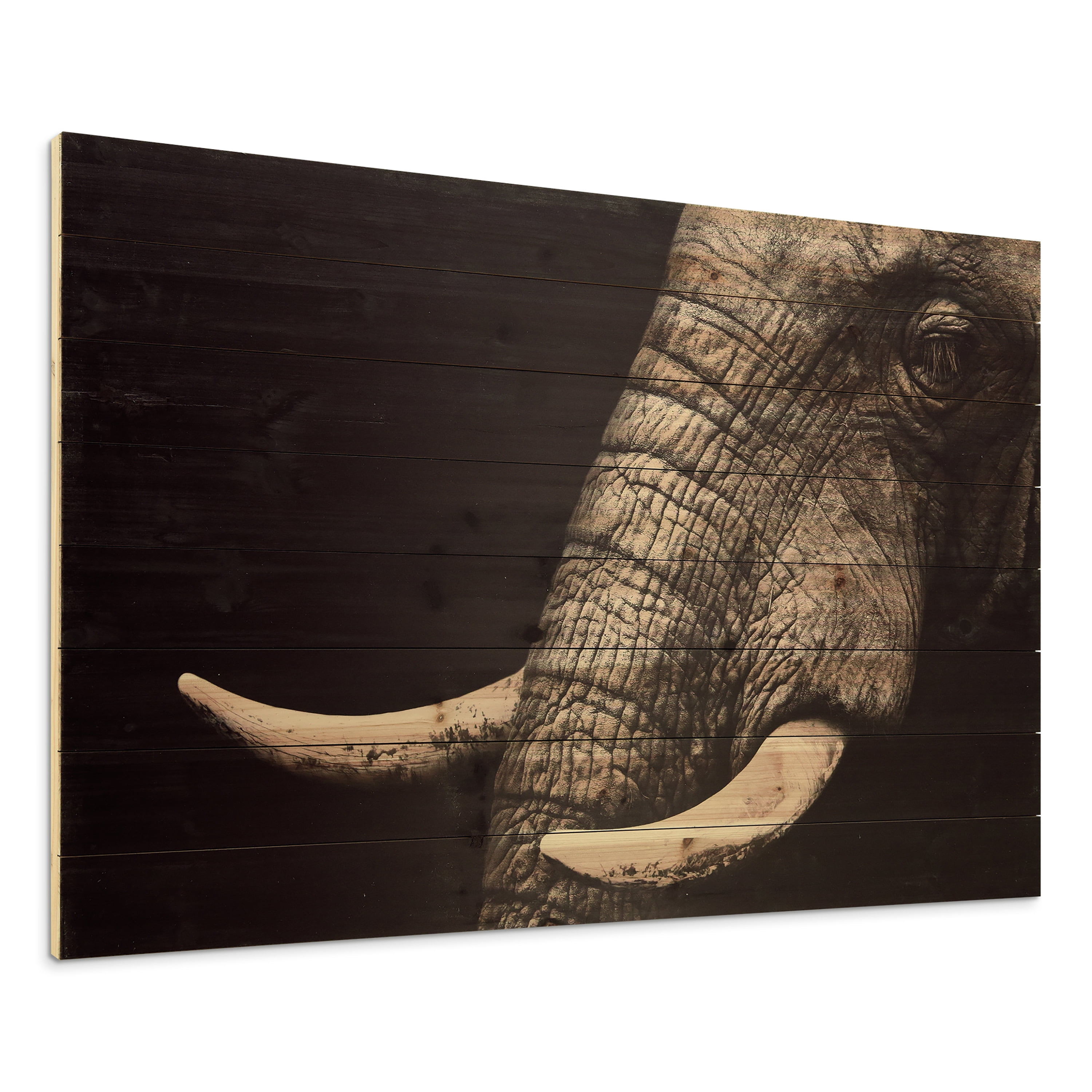 Empire Art Direct Elephant Print on Solid Wood Wall Art, 30" x 45", Ready to Hang