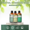 thumbnail image 5 of PHATOIL 3-Pack Essential Oil Set, Vanilla, Eucalyptus, Peppermint, Gift for Adults, 5 of 7