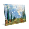 thumbnail image 1 of Cypress Outstretch Cerulean | 16" x 20" Acrylic Wall Art, 1 of 1